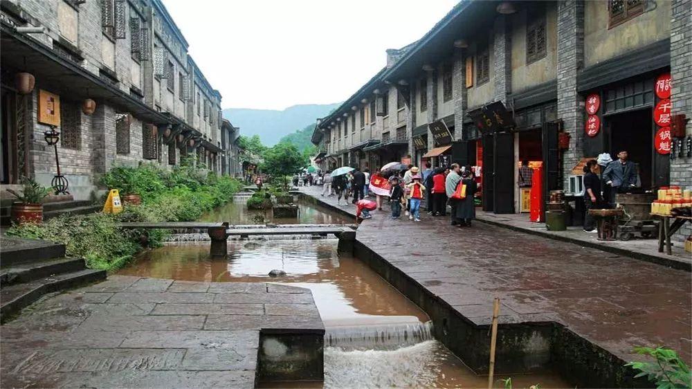 猫猫冒险团